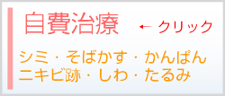 シミ・そばかす・かんぱん・ニキビ跡・しわ・たるみなどの自費治療についてはこちら